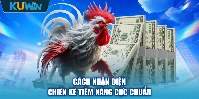 Cách nhận diện chiến kê tiềm năng cực chuẩn