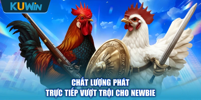 Chất lượng phát trực tiếp vượt trội cho newbie